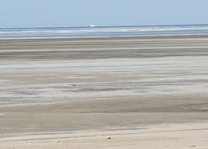 Gemütliches Apartment direkt am Strand Cuxhaven